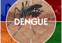 dengue_gd